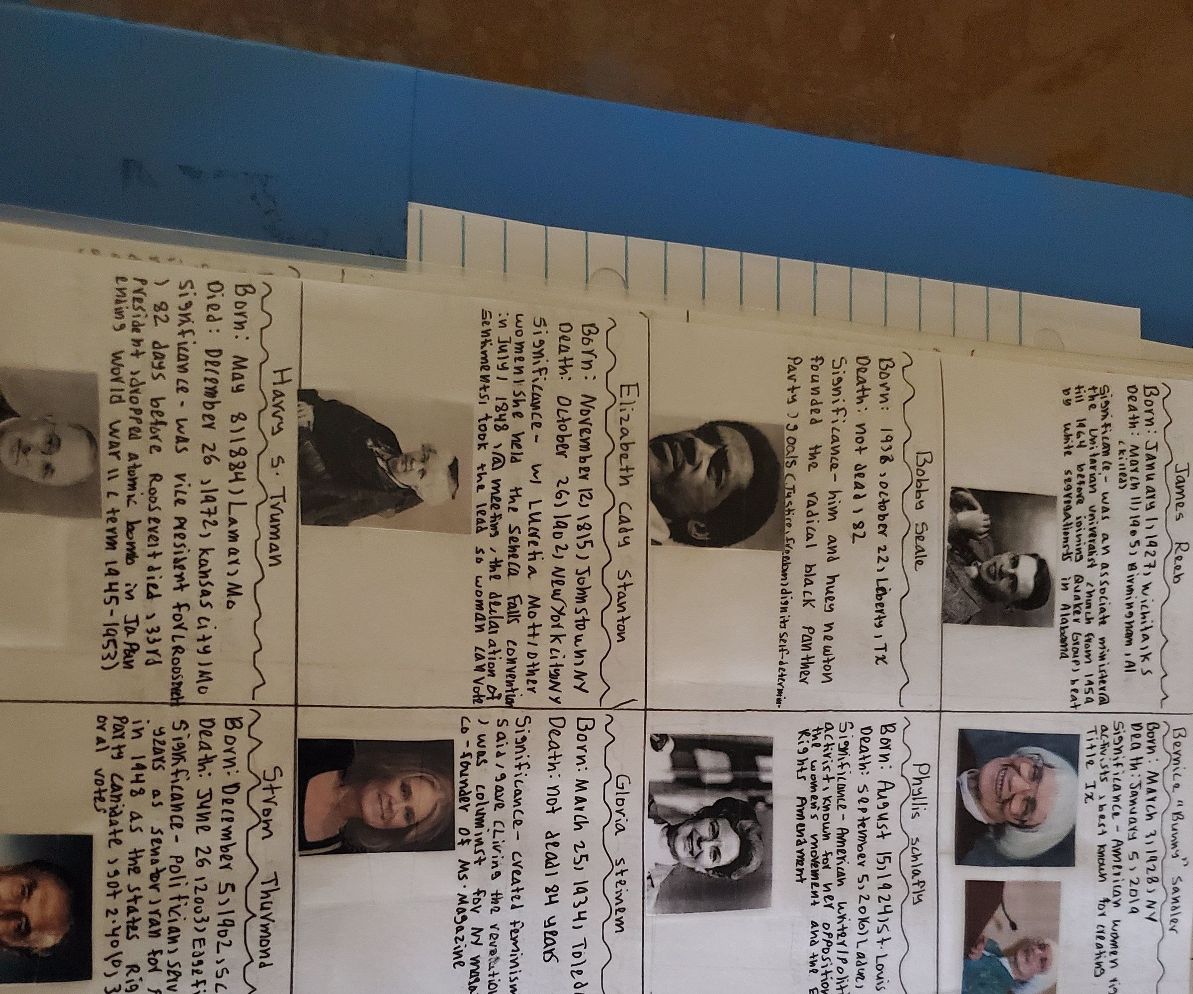 History Review Guides