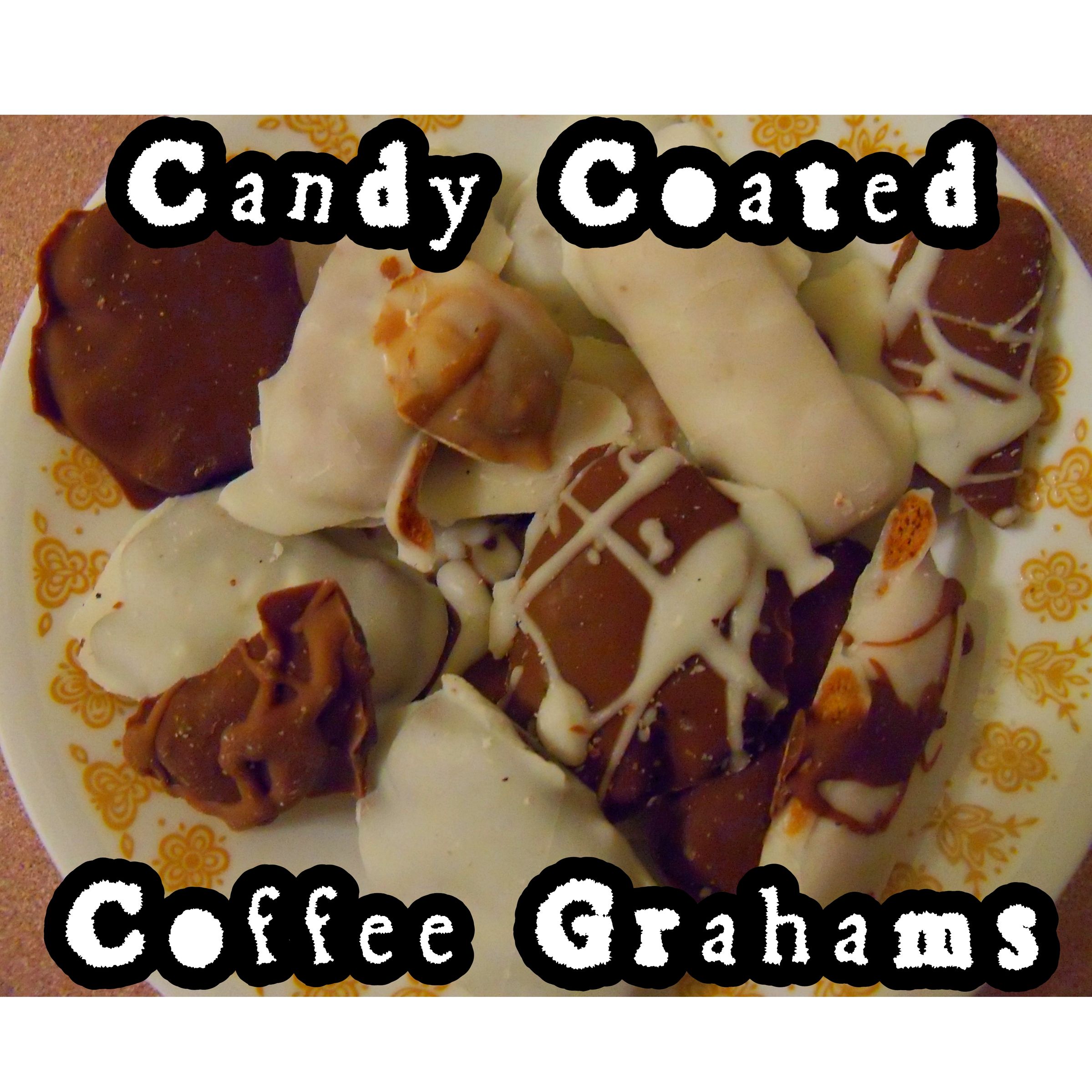 Chocolate-Vanilla-Coffee Graham Crackers!