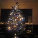 Collection Cover Image: Have a DIY Christmas!