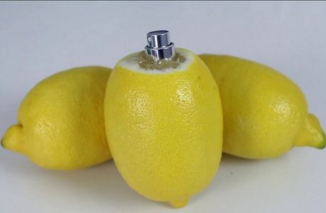 Have a Good Day! See Ya!