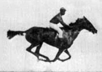 Create the Scratch Code