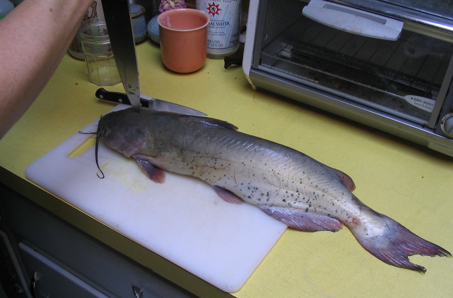 How to Skin a Catfish Fast