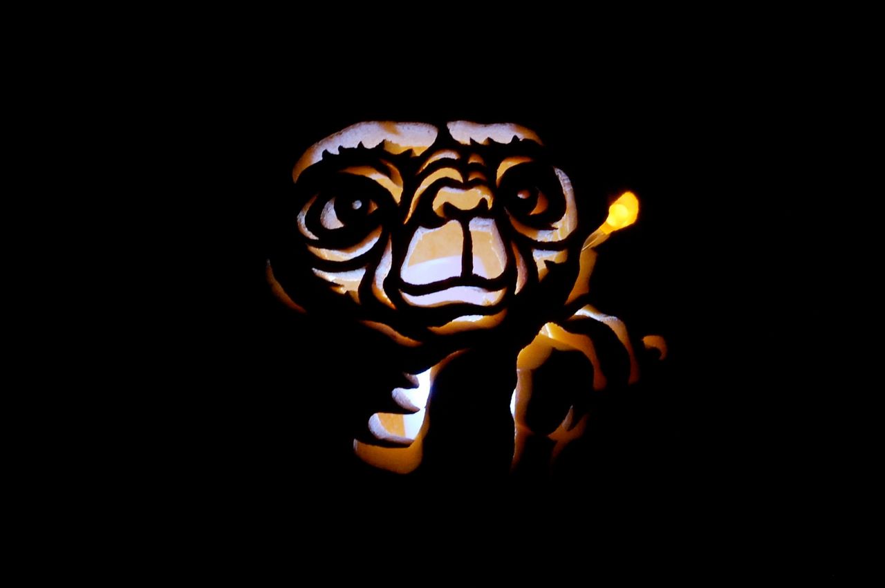 Jeff-o's 2008 Pumpkins