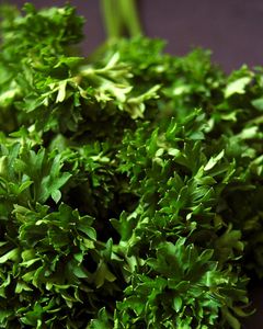 Know Your Herbs