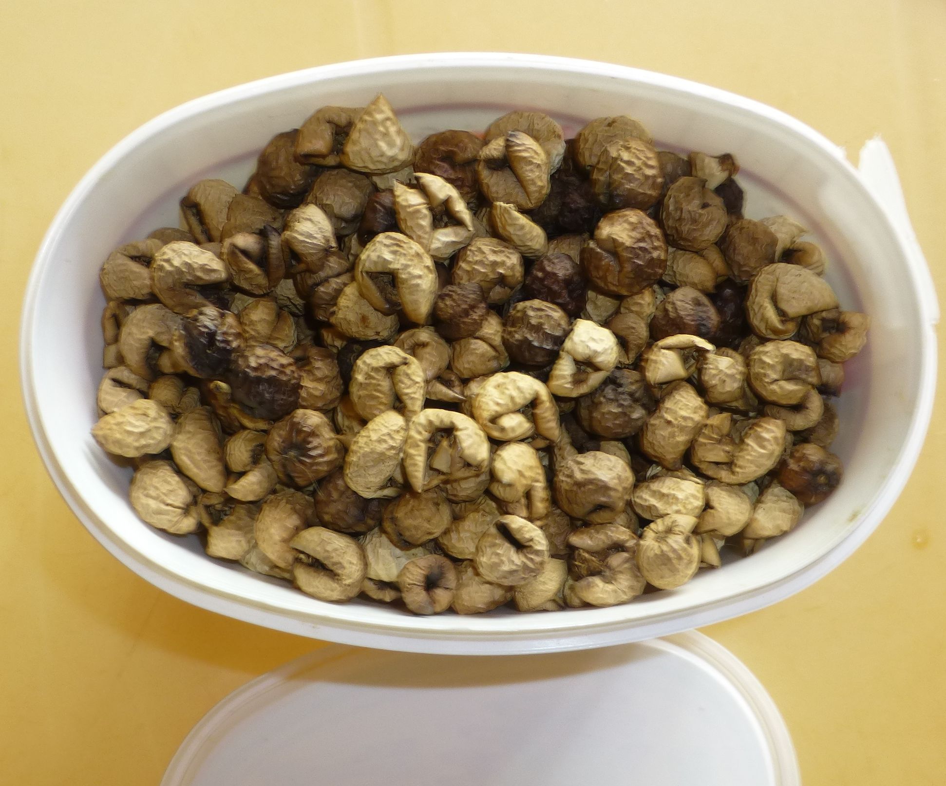 How to Dry Turkey Berries for Long Time Storage