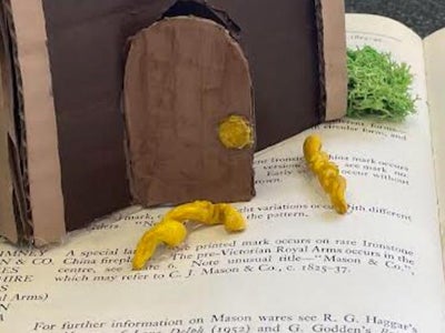 Bears, Bowls, and Hair