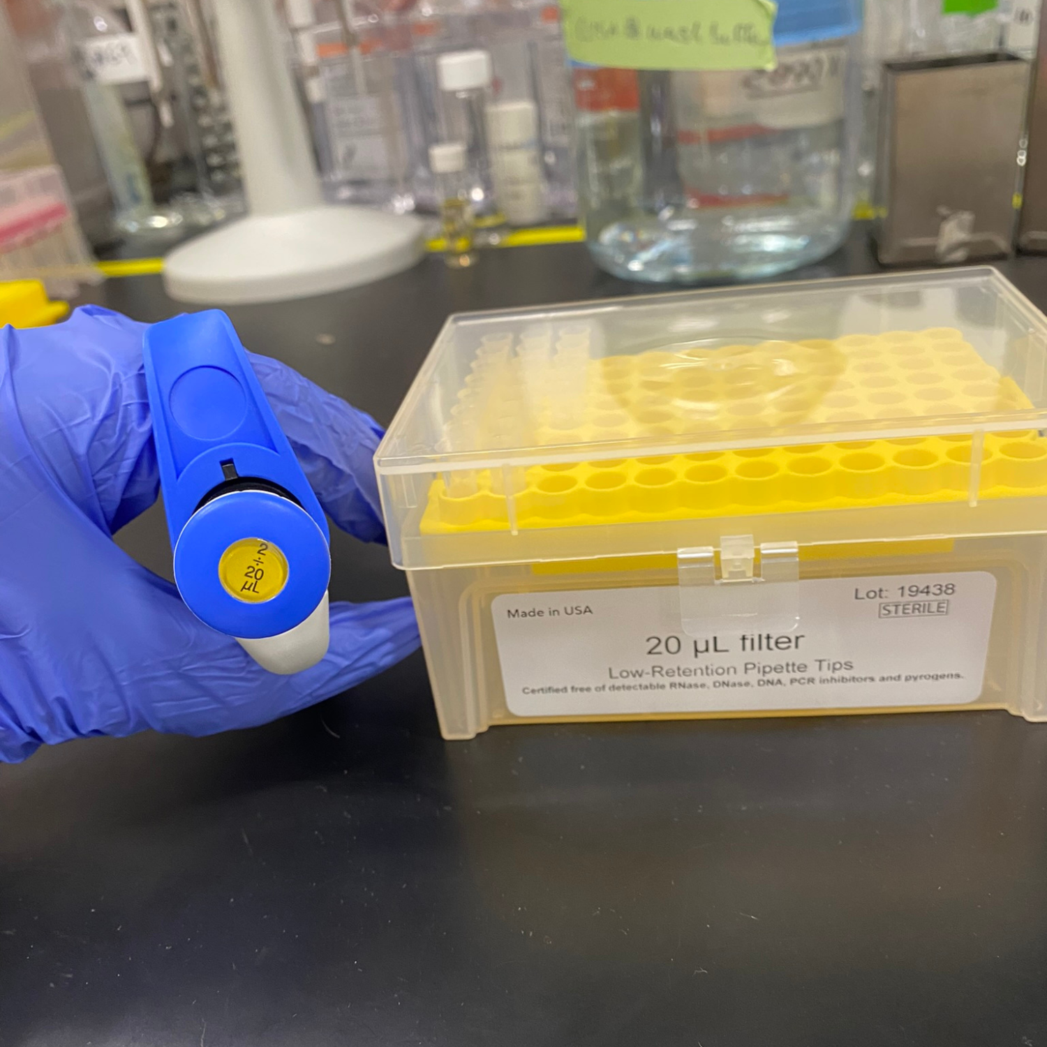 Mastering Molecular Cloning a Guide to Polymerase Chain Reaction (PCR
