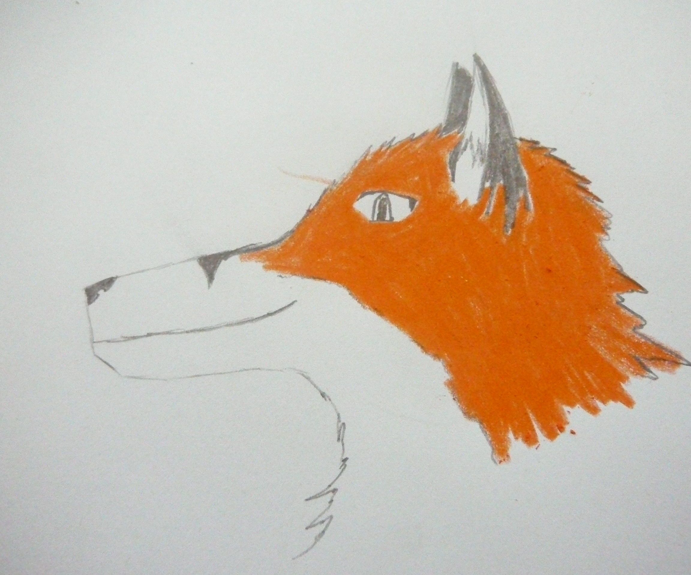 Changing the Wolf Drawing to a Fox