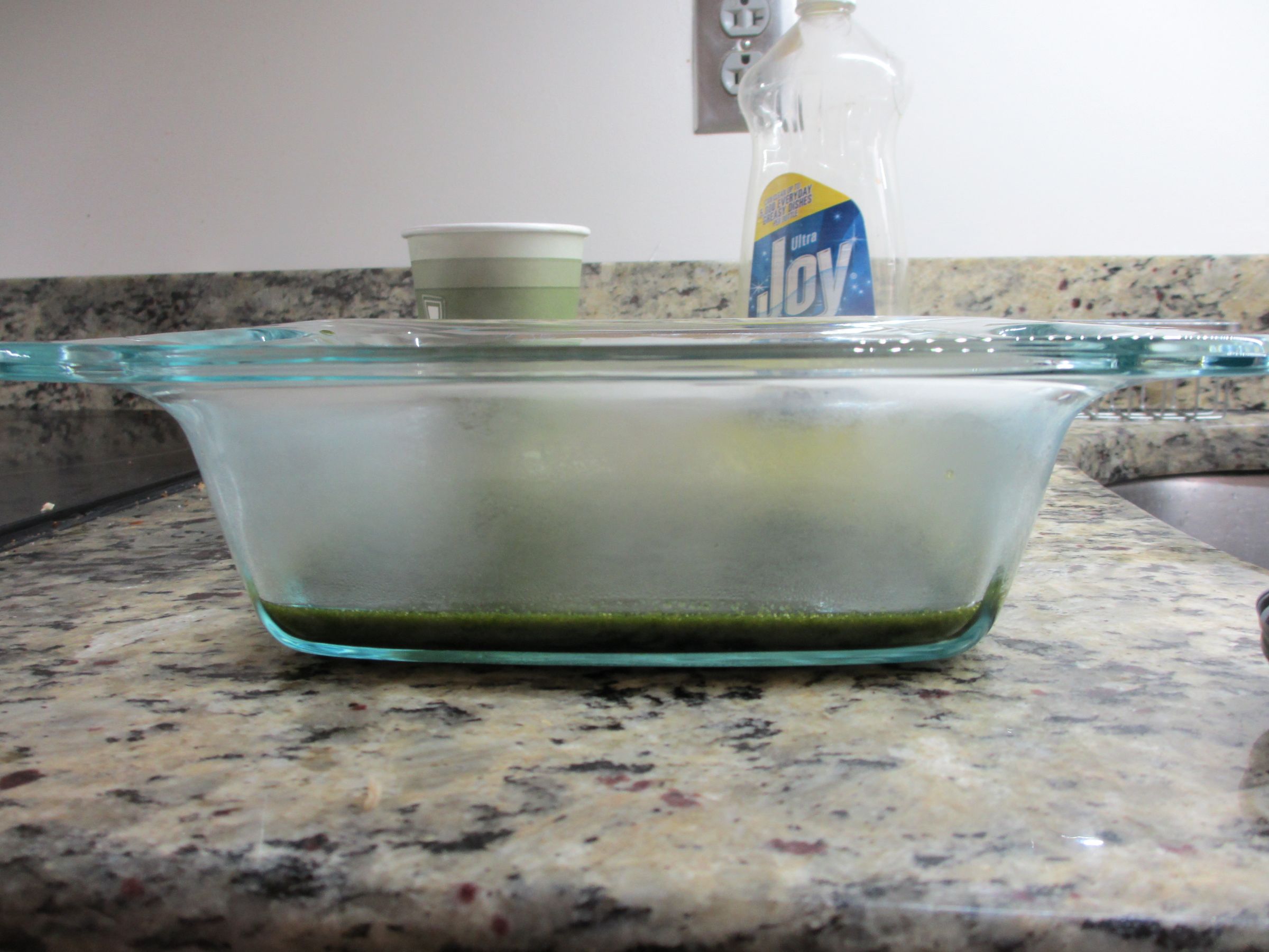 Spinach Terrine 4 Steps (with Pictures) Instructables