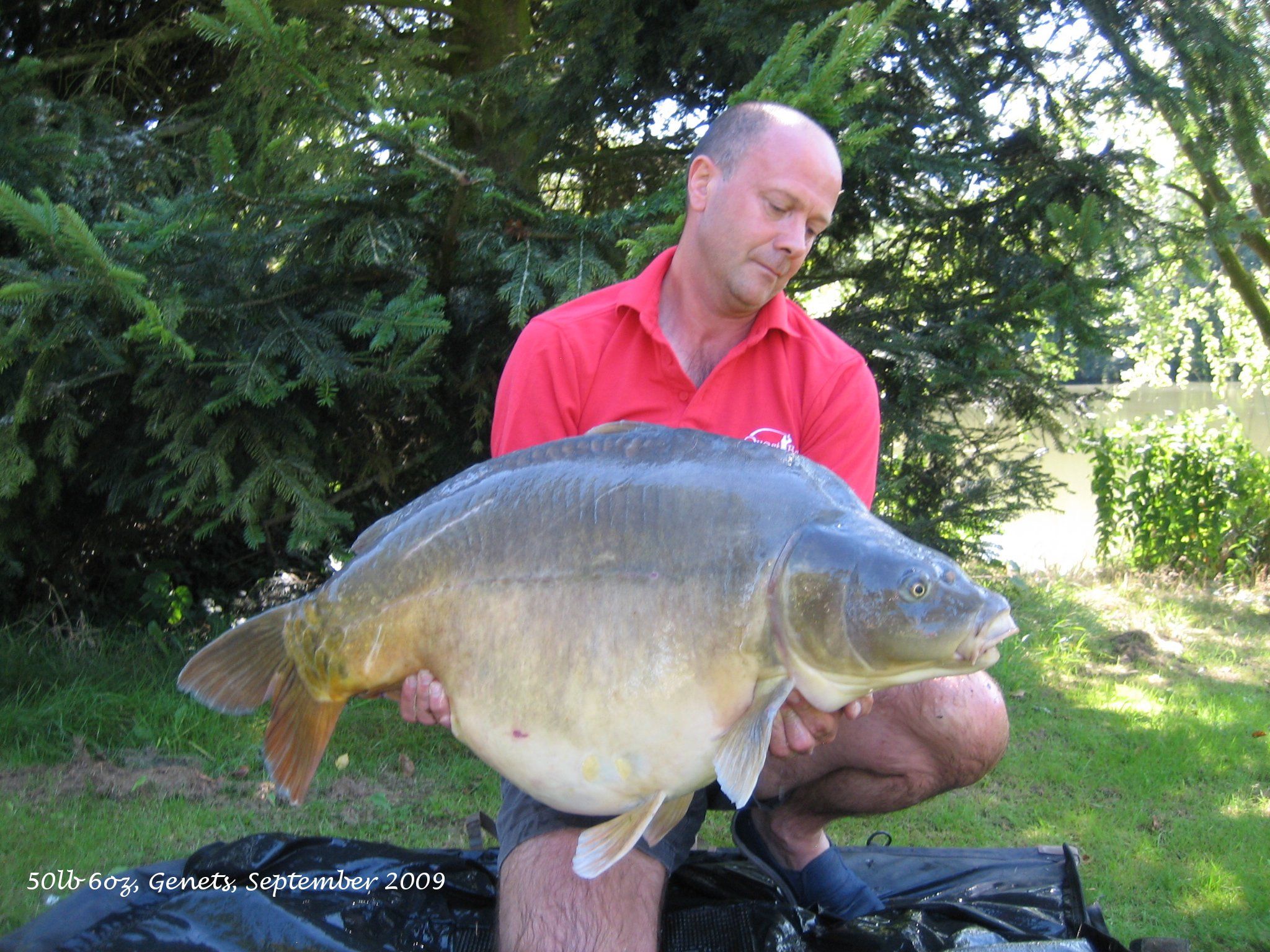 Angling Lines