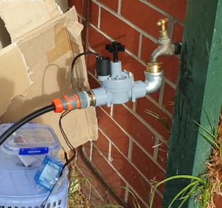 Automatic Watering System
