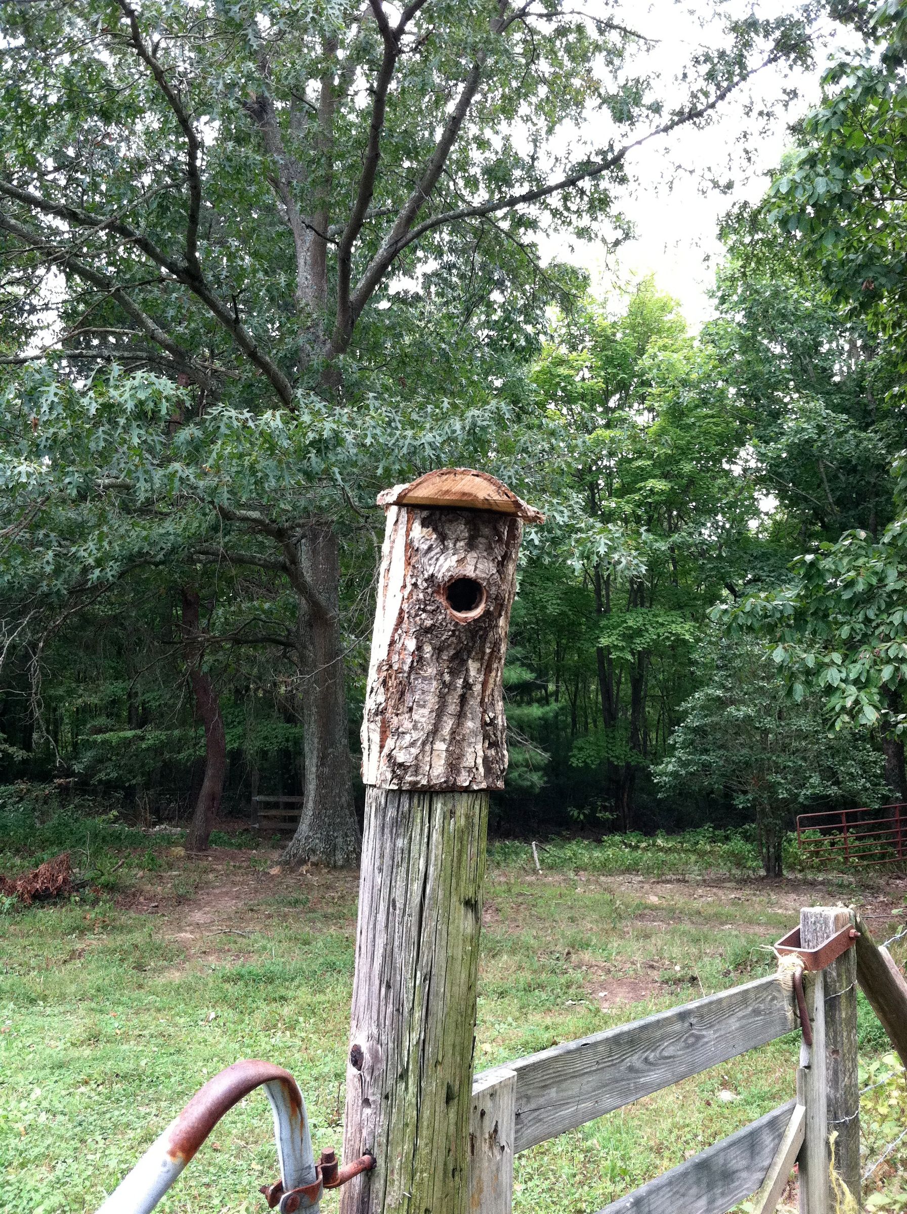 Organic Birdhouse