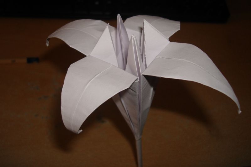 How to Fold an Origami Flower / Lily