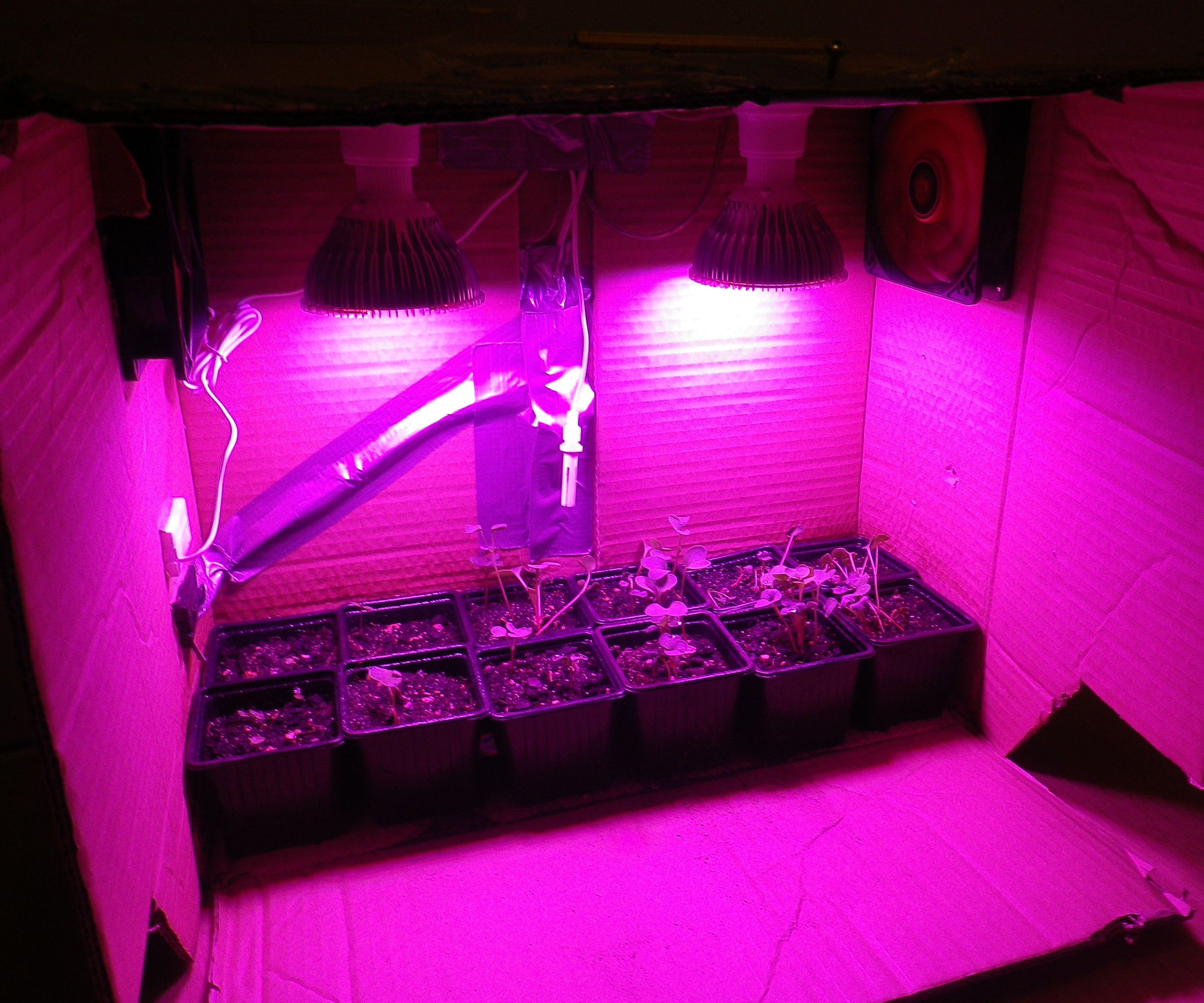 Small Grow & Germination Box in Cardbord Box