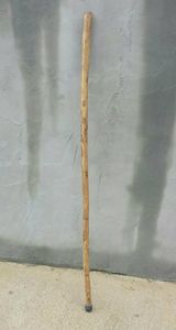 Compact Walking Stick