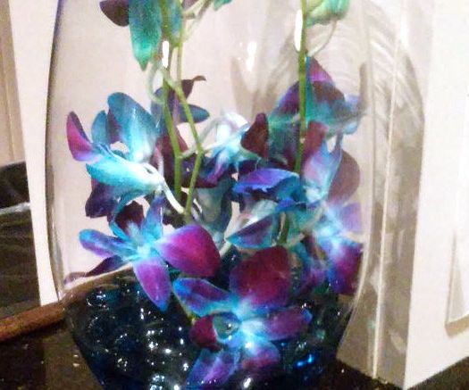 Beautiful Orchid Centerpieces