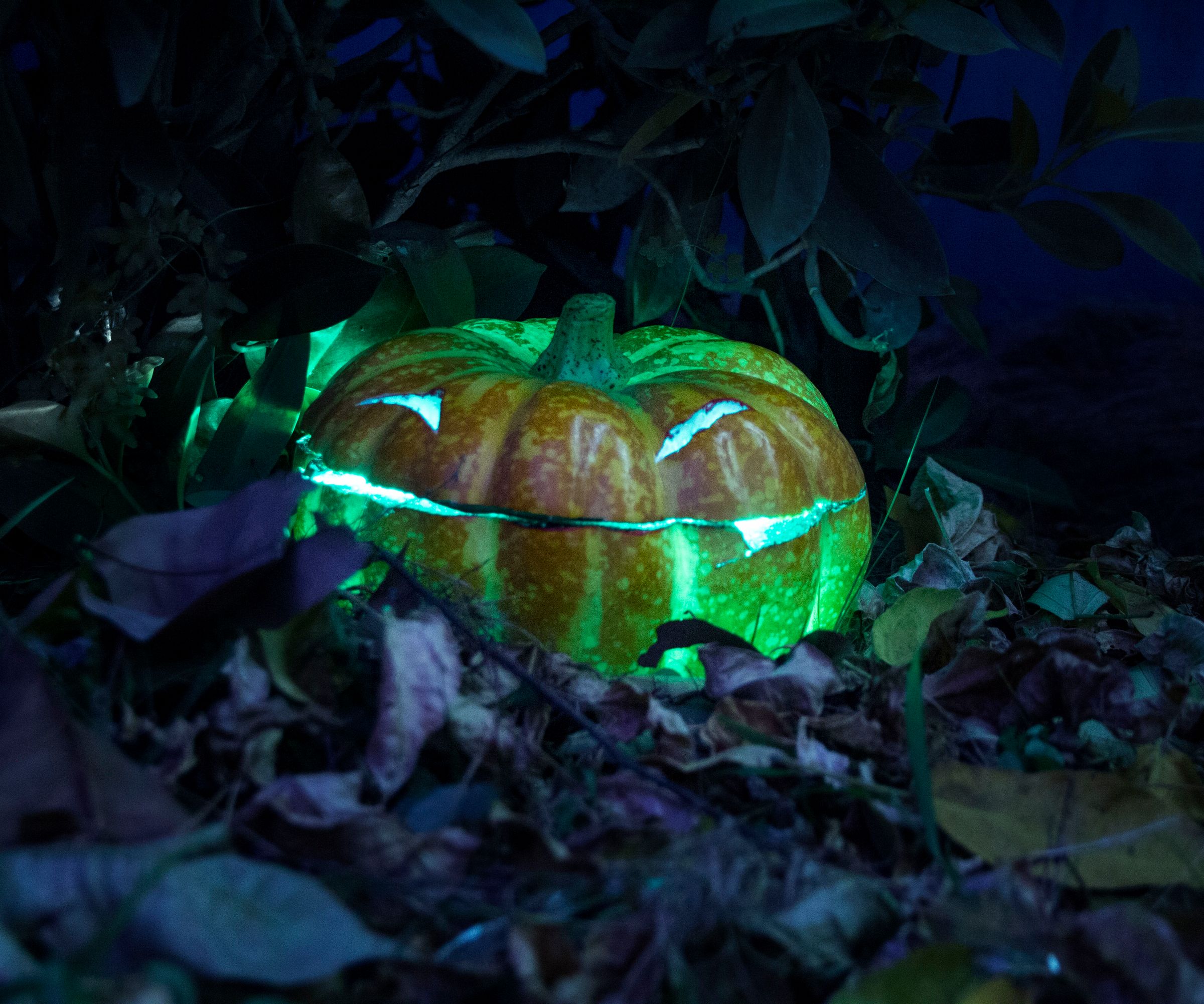 How to Make a Screaming Halloween Pumpkin (Jack-o'-lantern)
