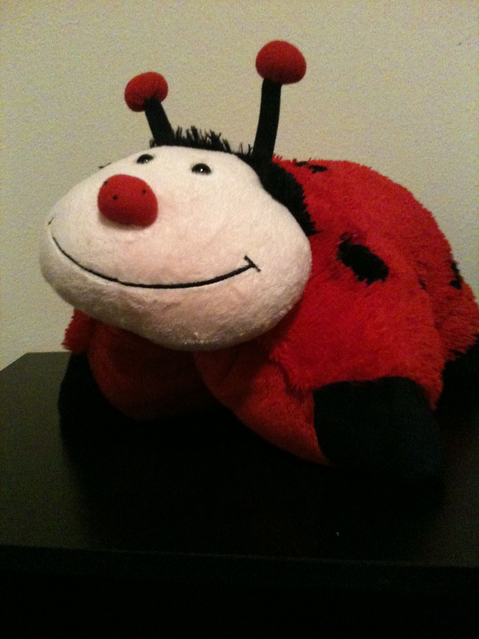 Hidden Compartment in Pillow Pet 4 Steps Instructables