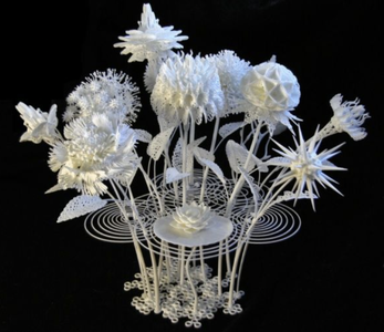 References for the Plants