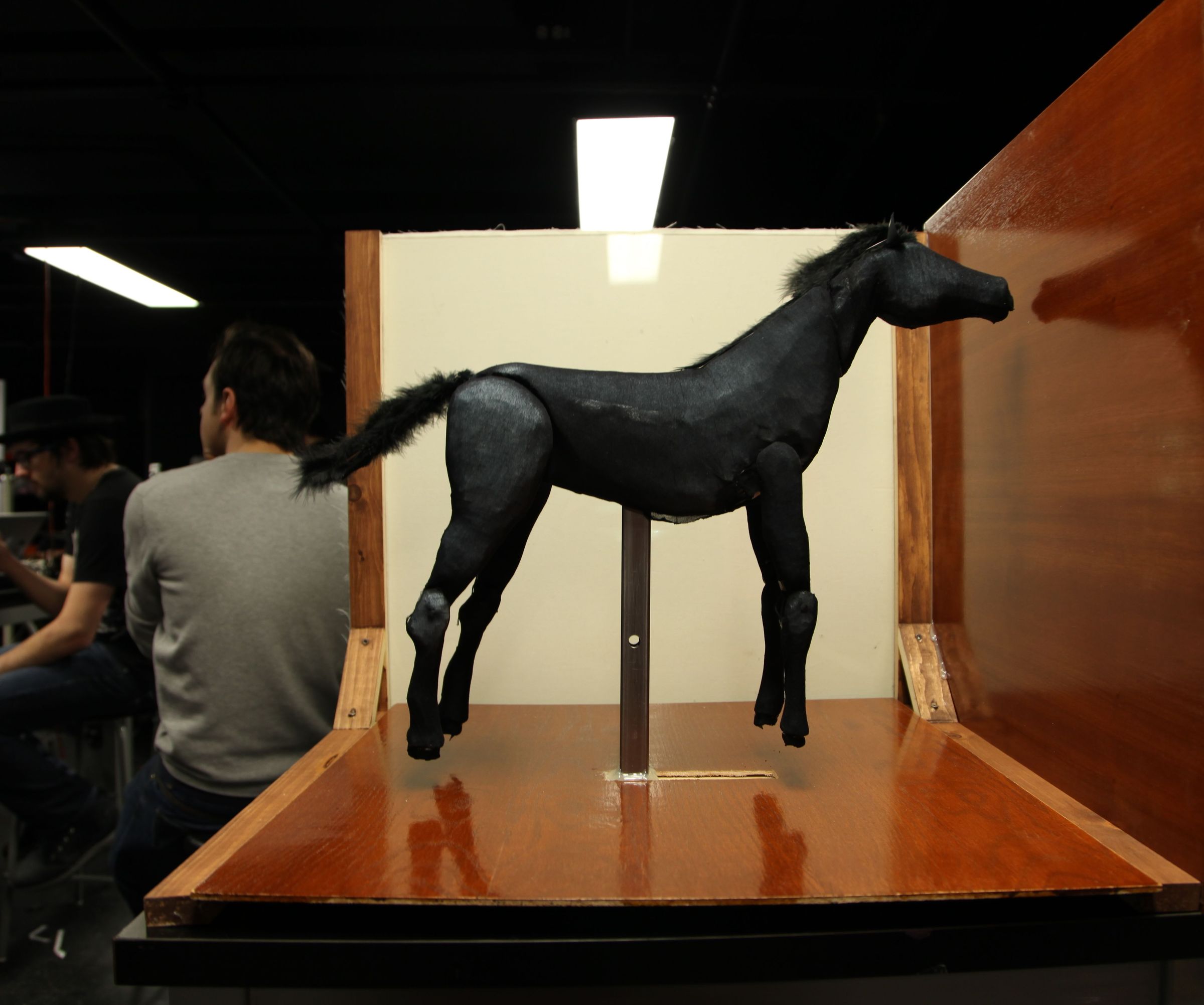 Un Galop Dans La Prairie