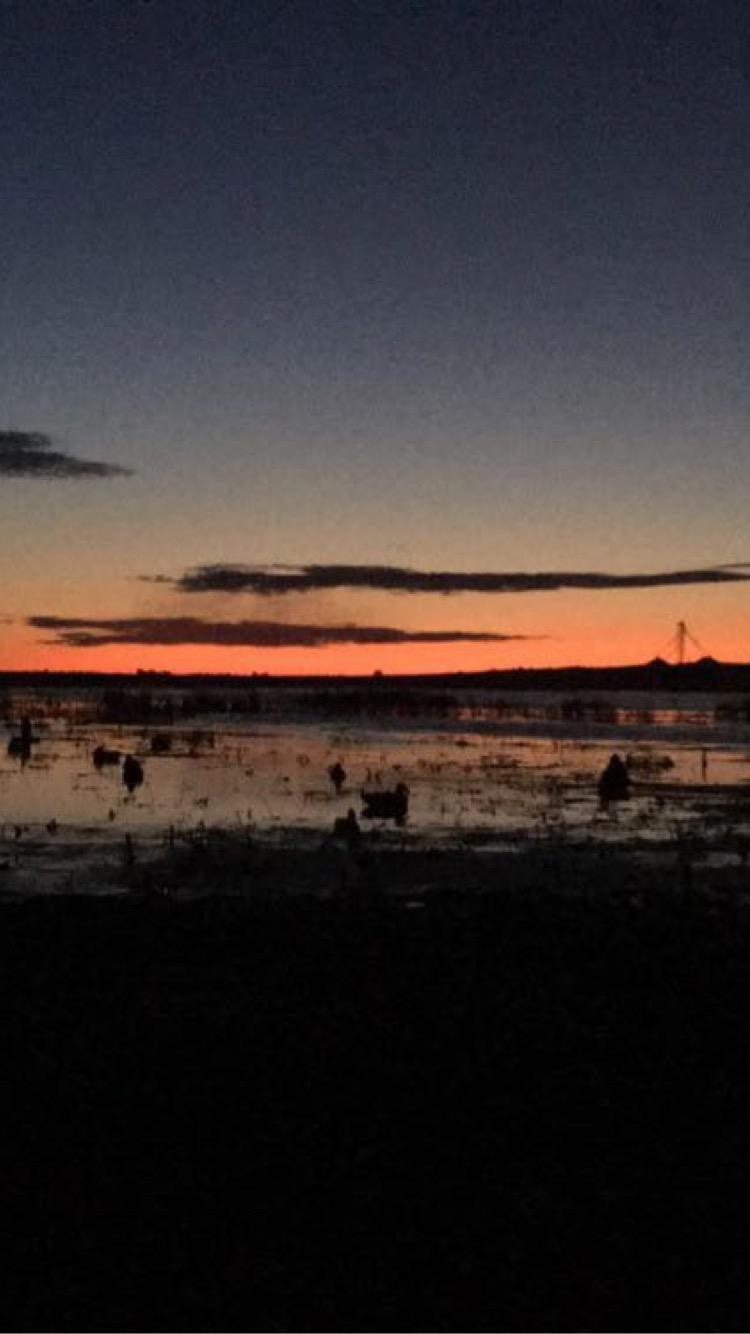 How to Waterfowl Hunt