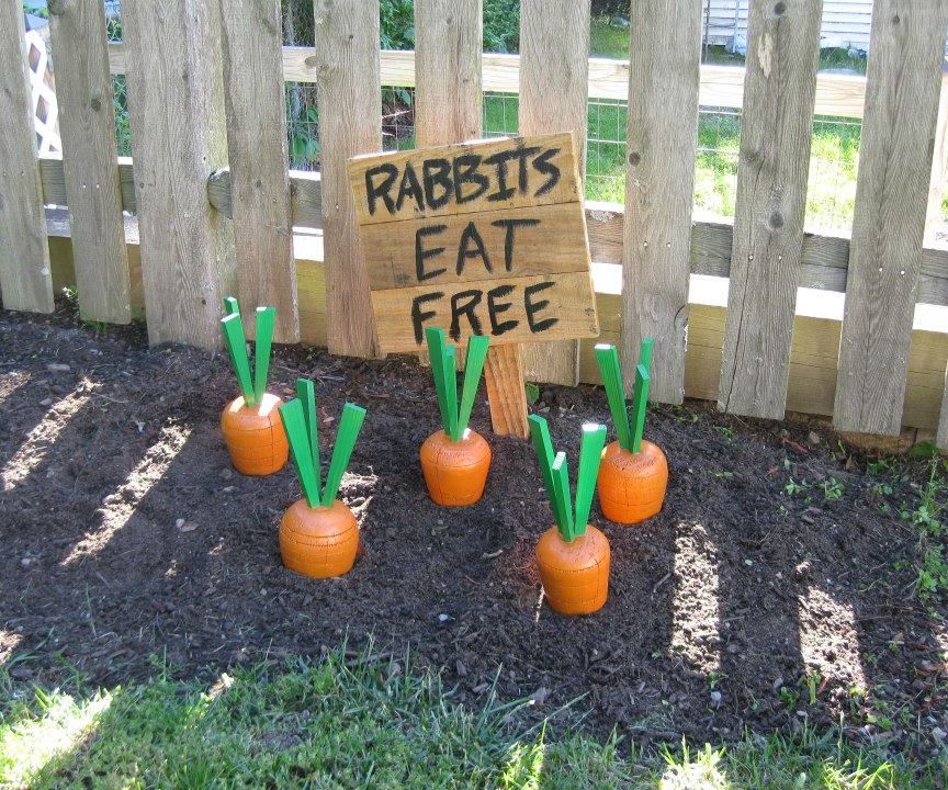 Wooden Yard Carrots