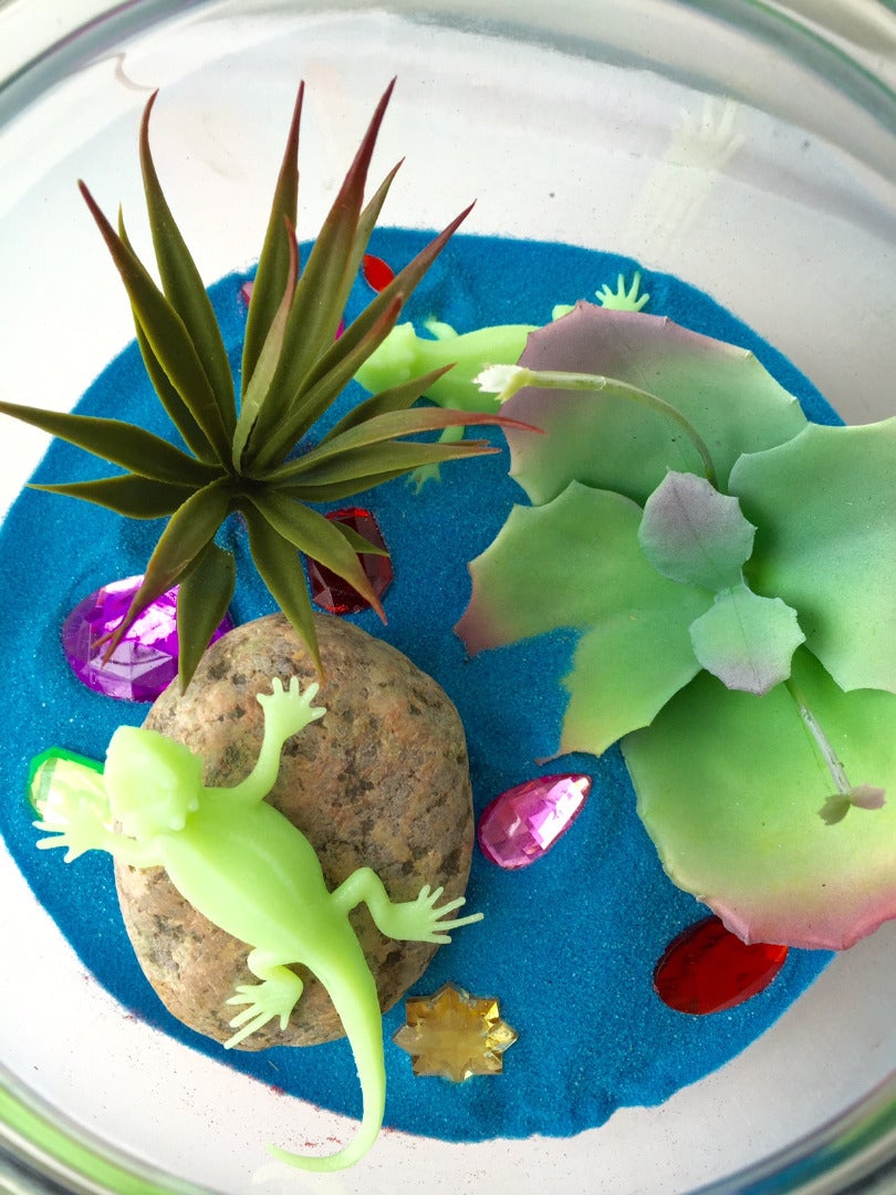 Enjoy Your Terrarium