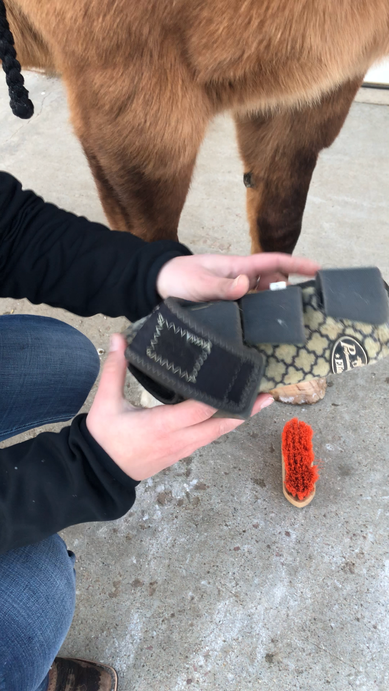 How to Properly Put a Boot on a Horse 8 Steps Instructables