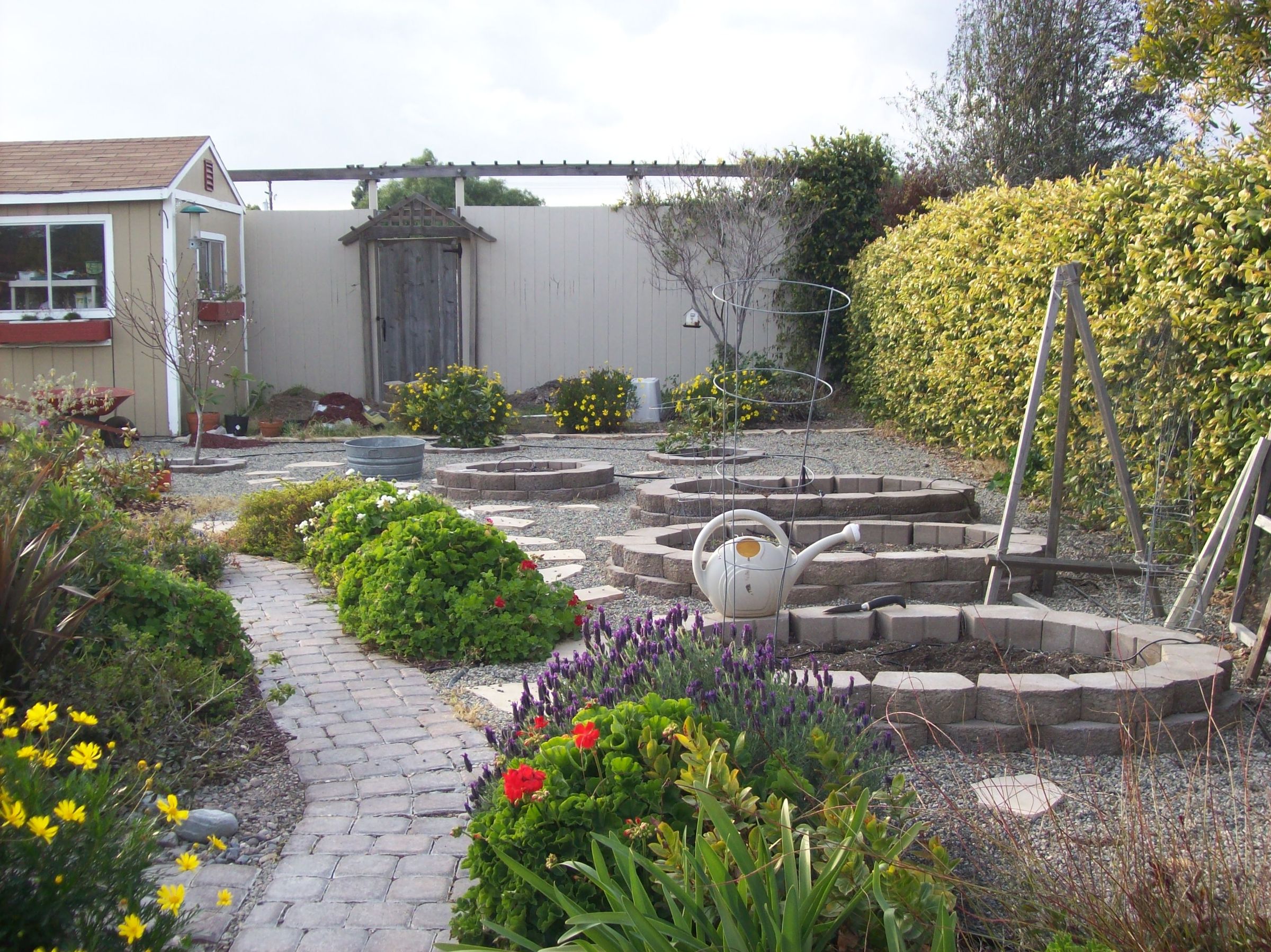 Garden and Backyard Space