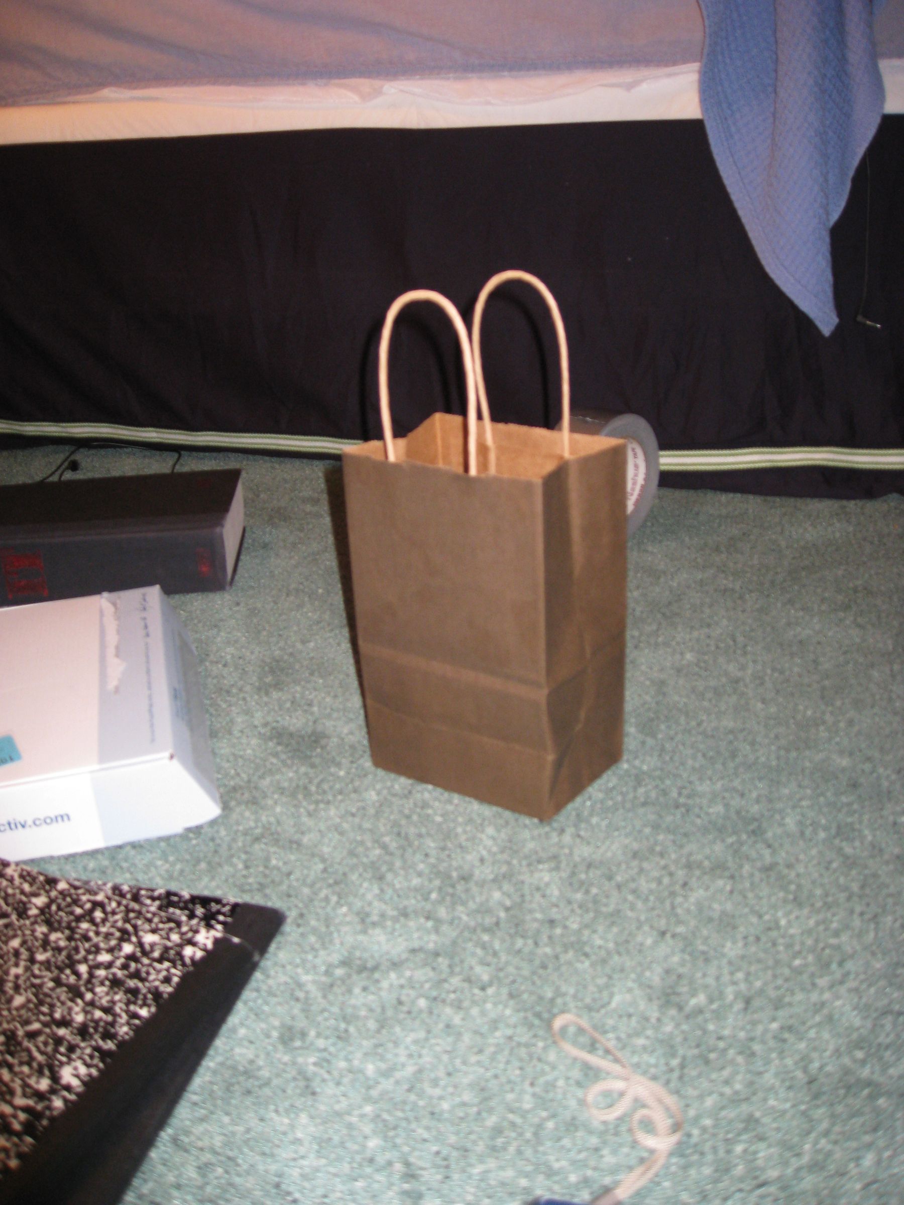 The Compact Reusable Lunch Bag