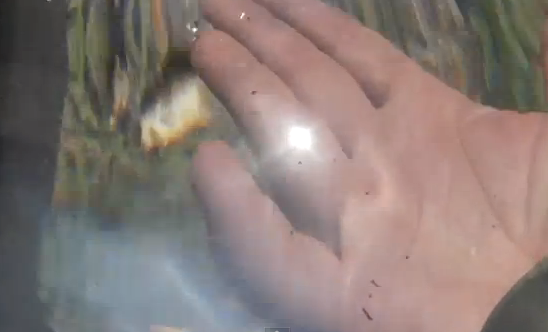 Fire From Water Instant DIY