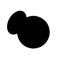 download {{ file.name }}