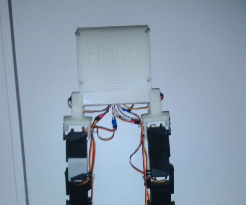 HaRo : 10 DoF Bipedal Gait