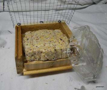 Filling the Feeder