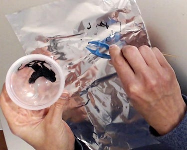 Make the Jumping Particles