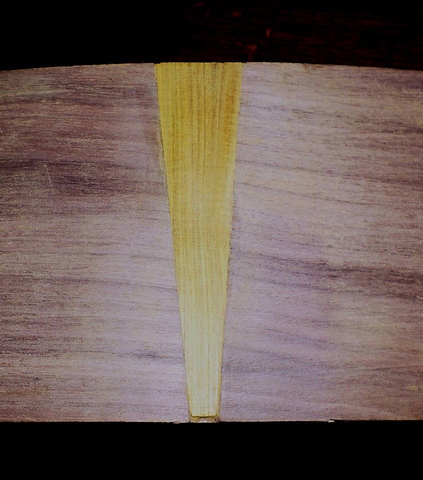 Truss Rod and Tail Piece