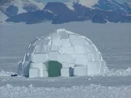 Winter Snow Shelters