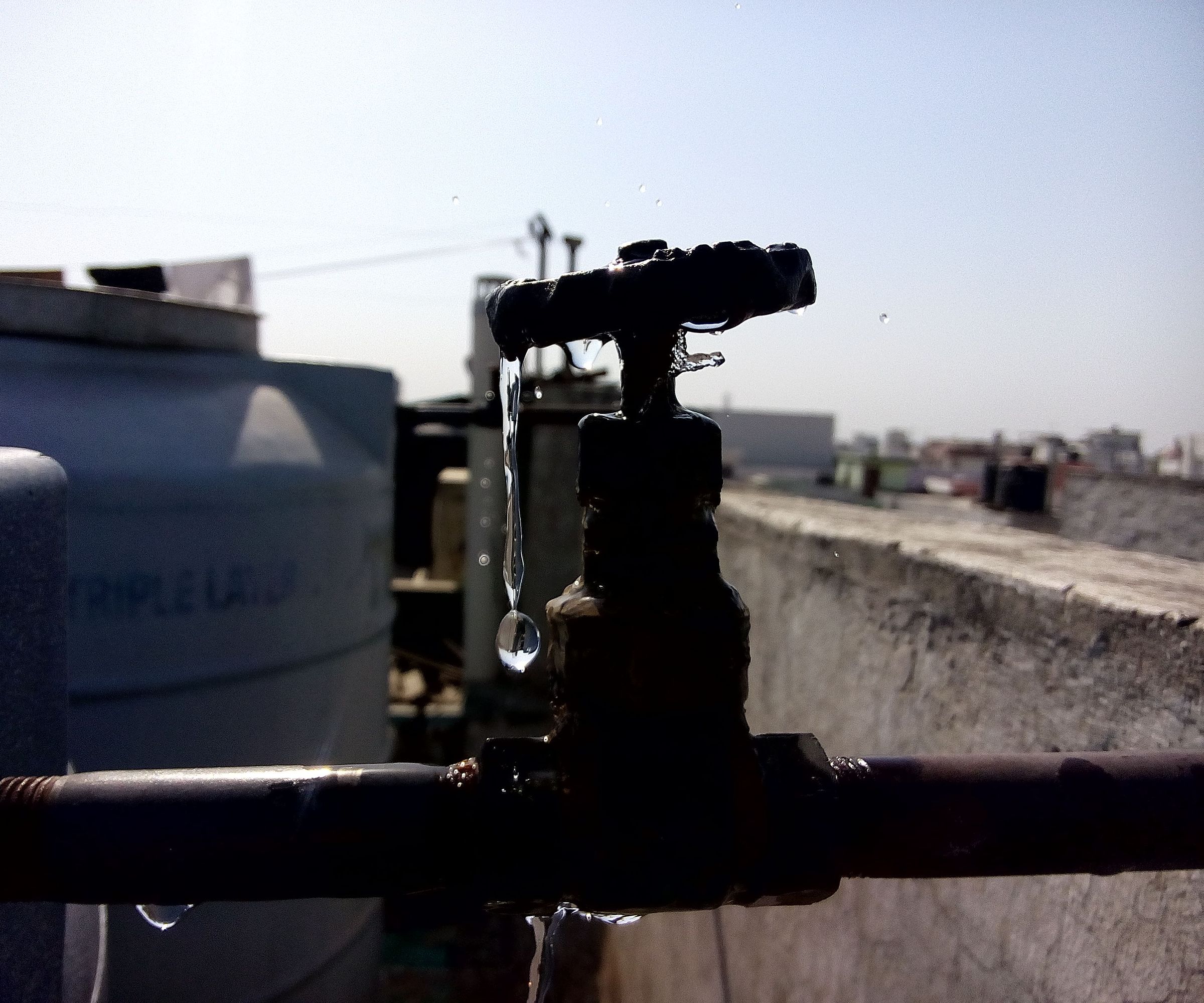 Phone Photography for Dummies