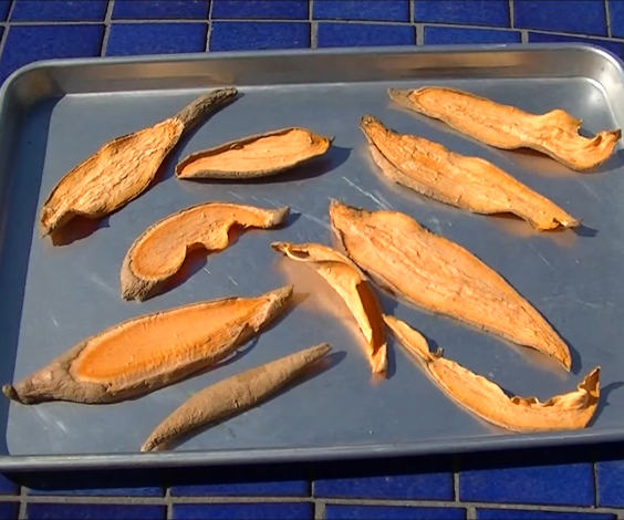 Sweet Potato Jerky