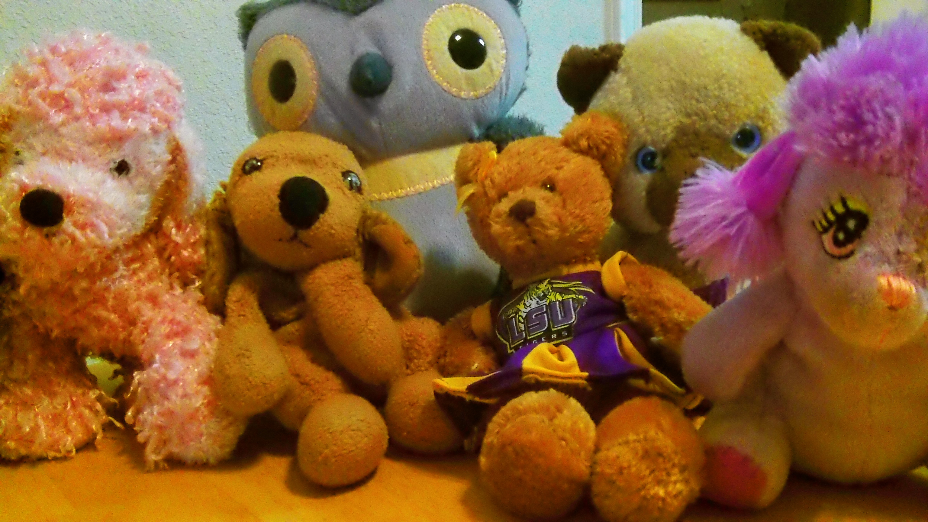 teddy bear with secret compartment