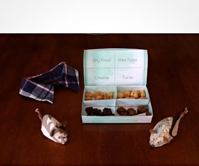 Cat Toys and Treats Gift Set