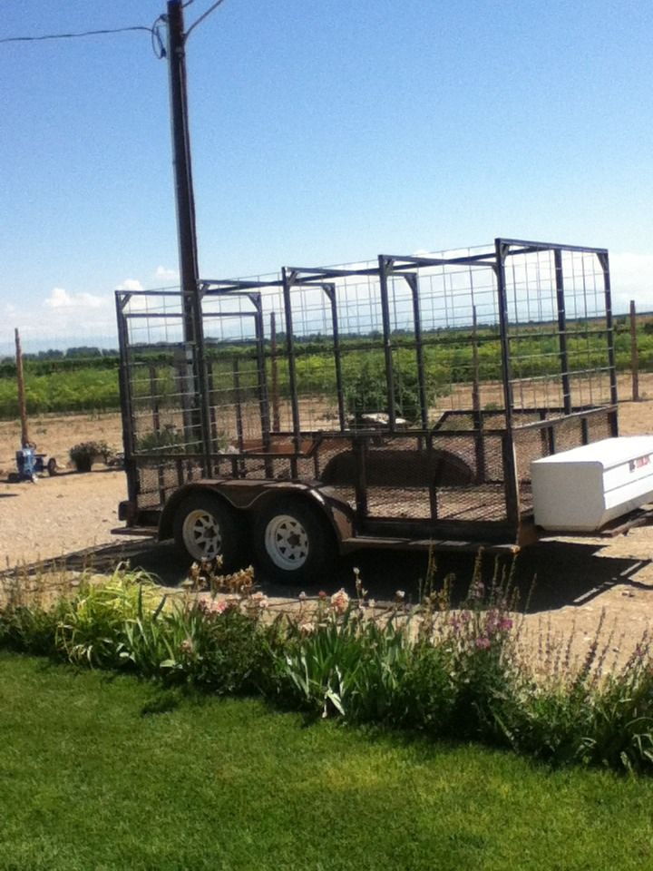 Stock Trailer Out of a Flat Trailer