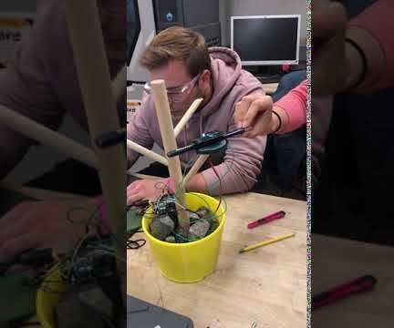 Venus Flytrap - ITM Fall 2019