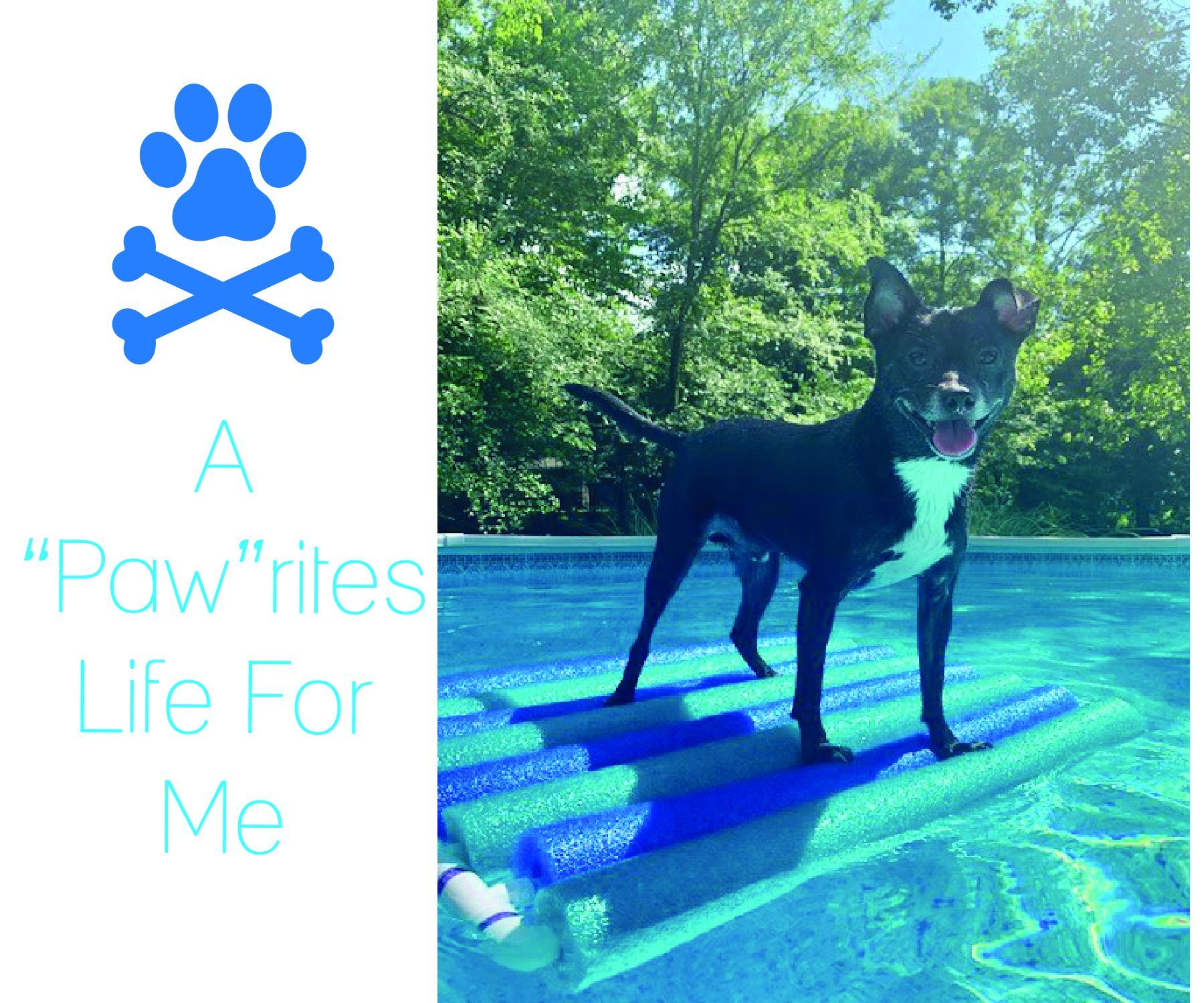A "Paw"rites Life for Me.