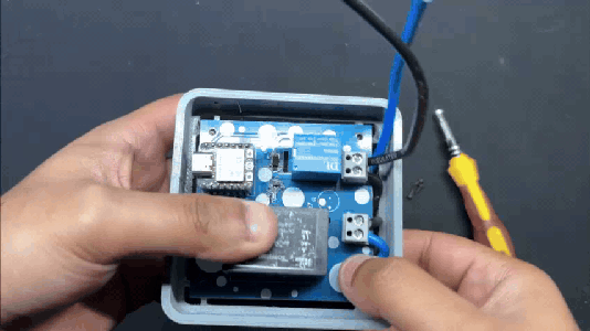 Plug Section Complete Assembly