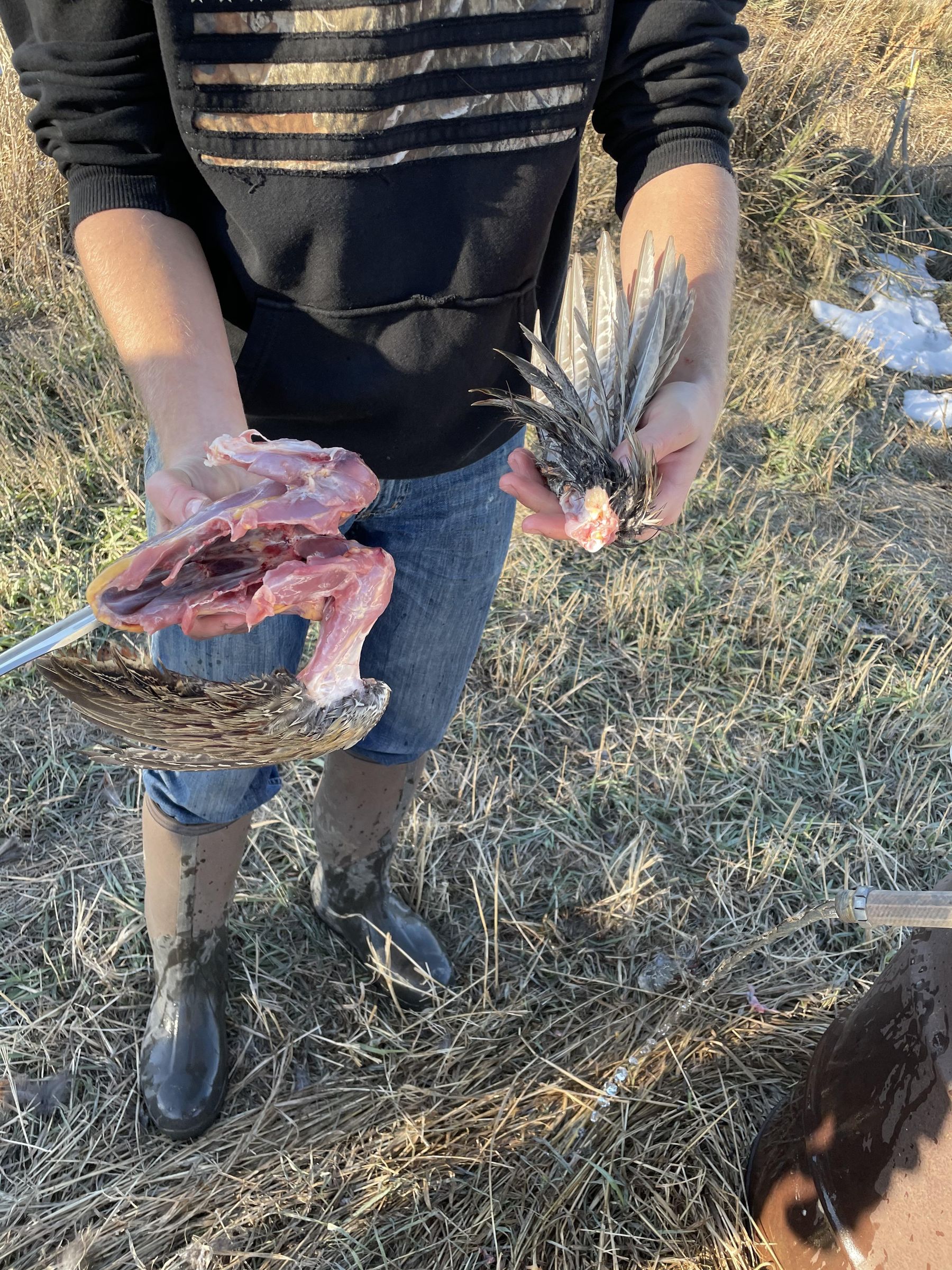 How to Clean a Pheasant 3 Steps Instructables
