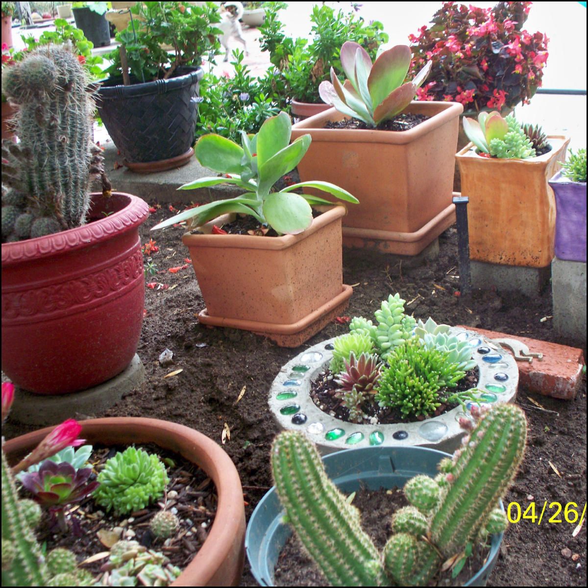 How to Make a Bowling Ball Planter 9 Steps (with Pictures