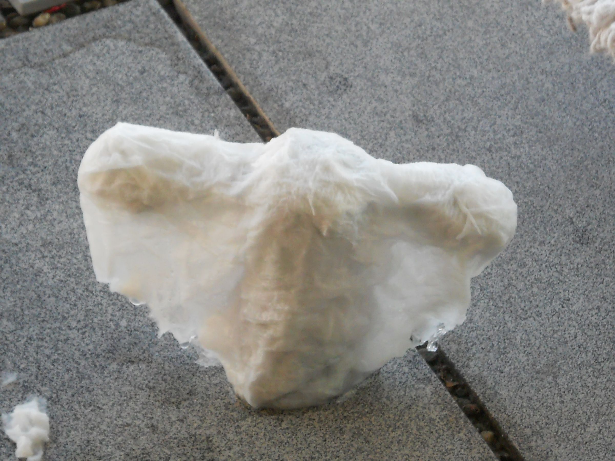 How to Make a Ghost for Halloween