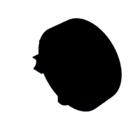 download {{ file.name }}