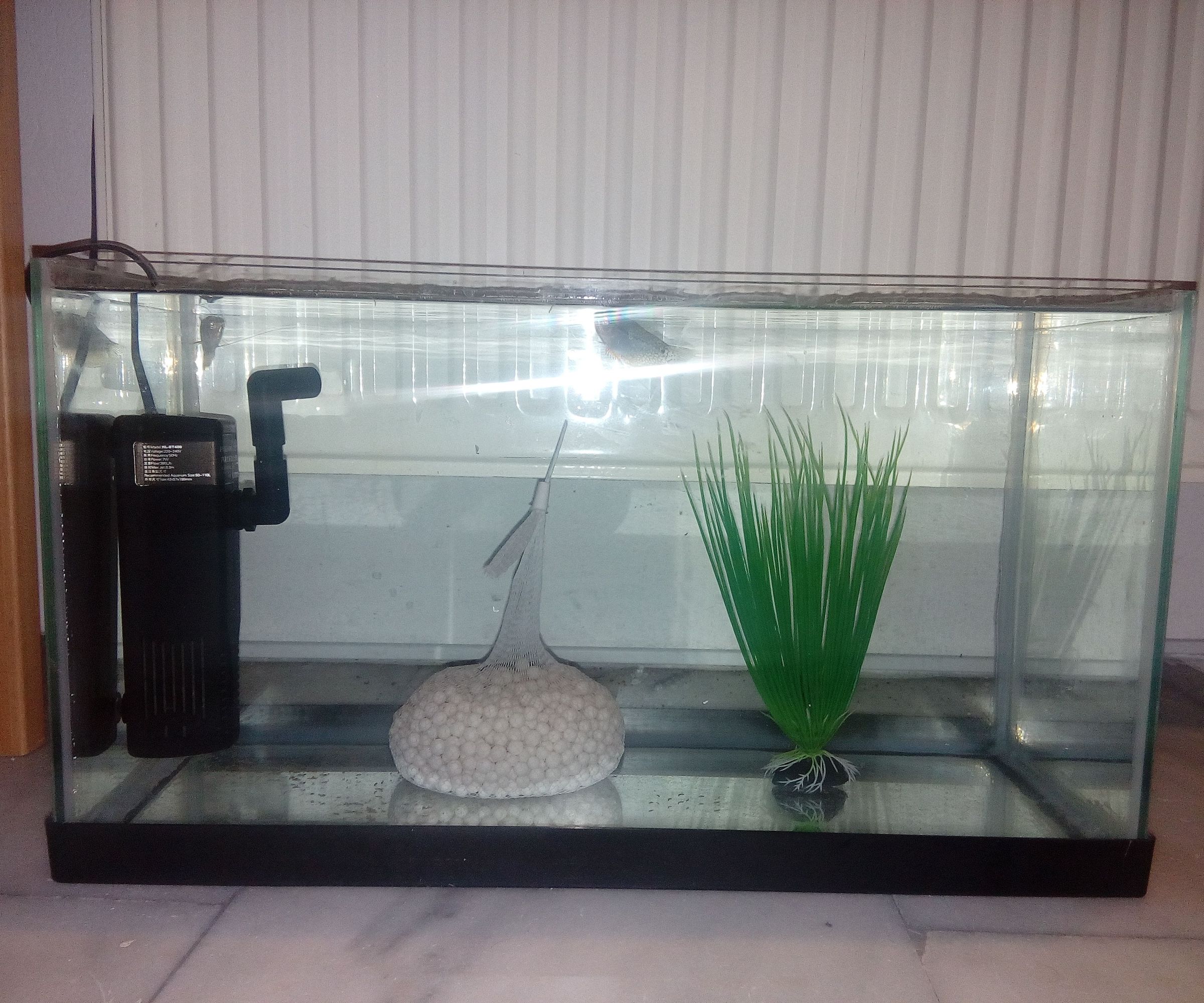 How to Re-seal an Aquarium.